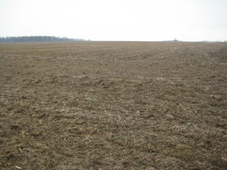 Property photo 16 - 414.5 +/- Acres Offered in 6 Tracts - Prime Indiana Farmland